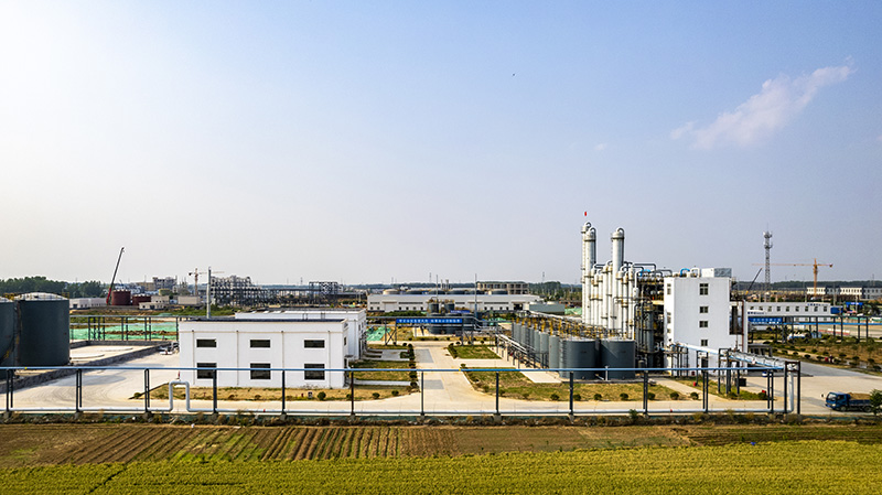 Advantages Advantages